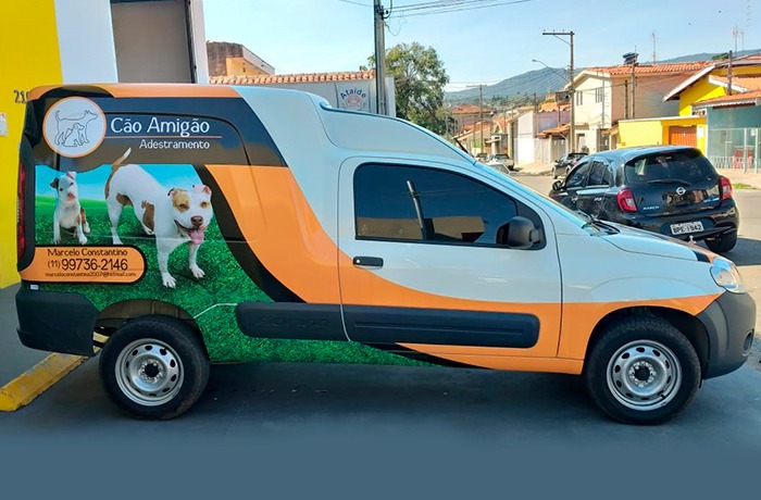 Envelopamento ArtWorld (7)